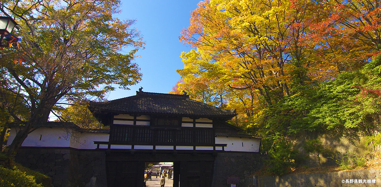 小諸城址 懐古園