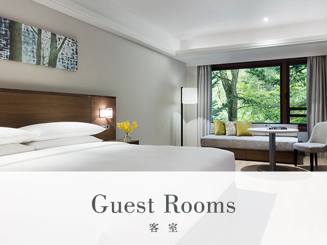 Guest Rooms 客室